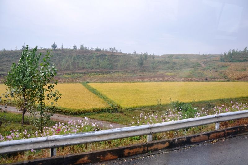 DSC_4916_zpsyyxmy7oi.jpg