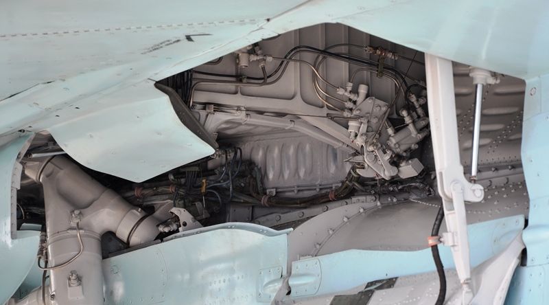 DSC_4034_zpsoltrzhlk.jpg