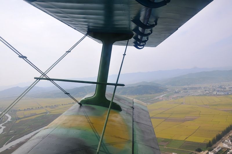 DSC_4143_zpsivyzg6o4.jpg