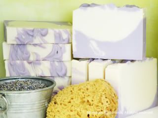 bollandi cold process soap, cocoa butter soap,lavender essential oil cold process soap,lavanda lavender essential oil