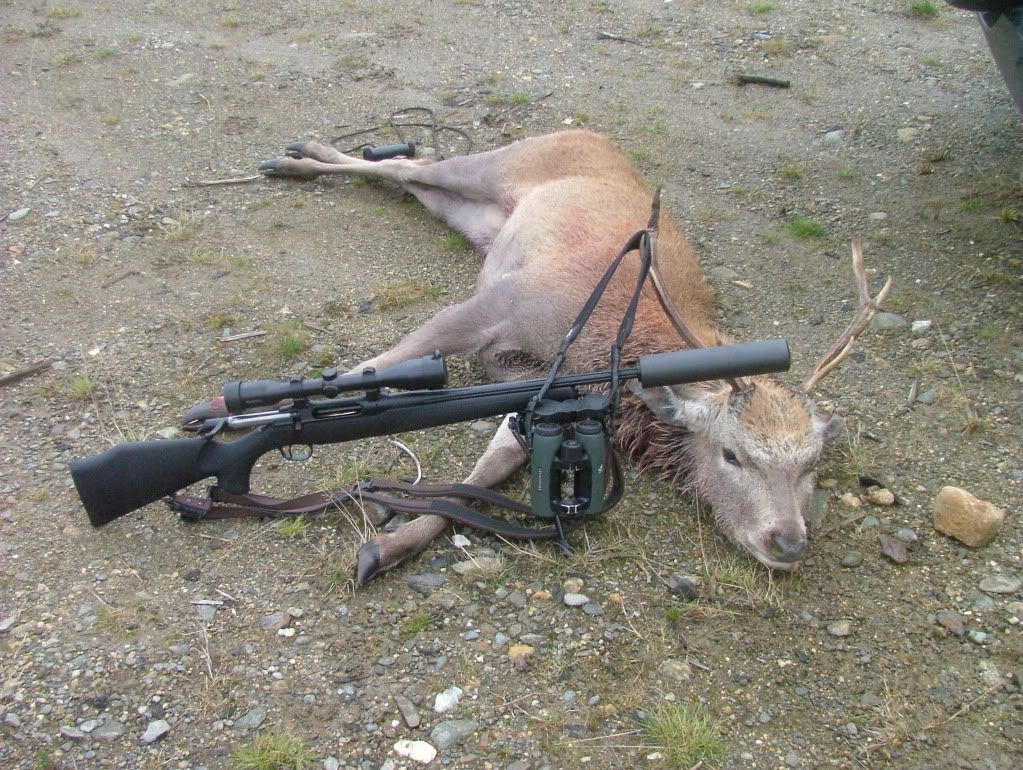 DeerStalking065.jpg