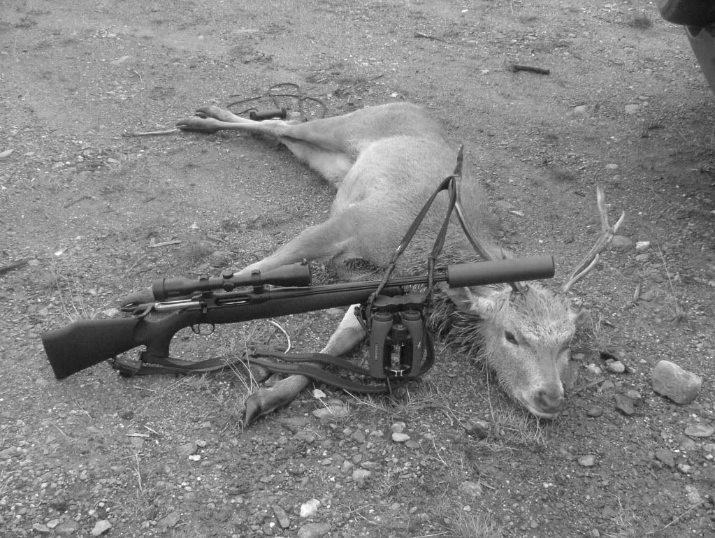 DeerStalking068.jpg