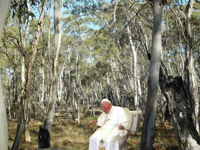 Popewoods.jpg