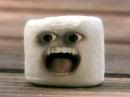 marshmallow photo: marshmallow marshmallow.jpg