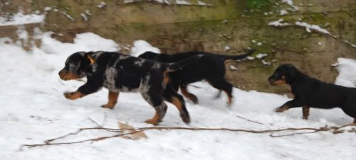 2010-01-18-22-1.jpg