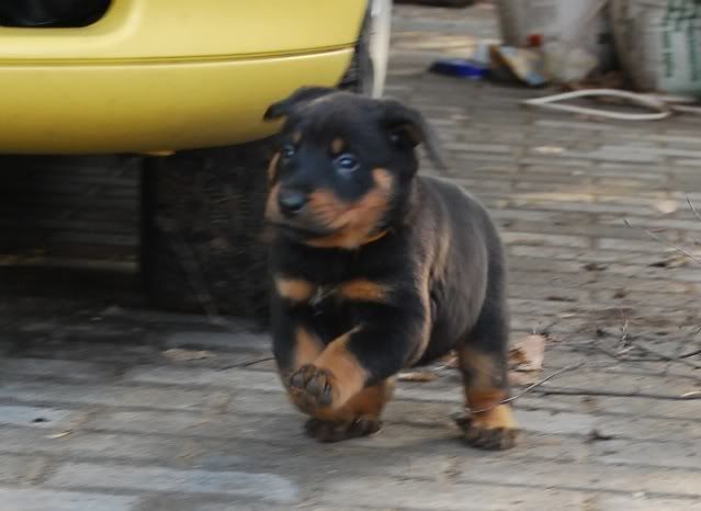 DSC_1092.jpg