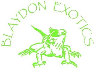 photo Blaydon2.jpg