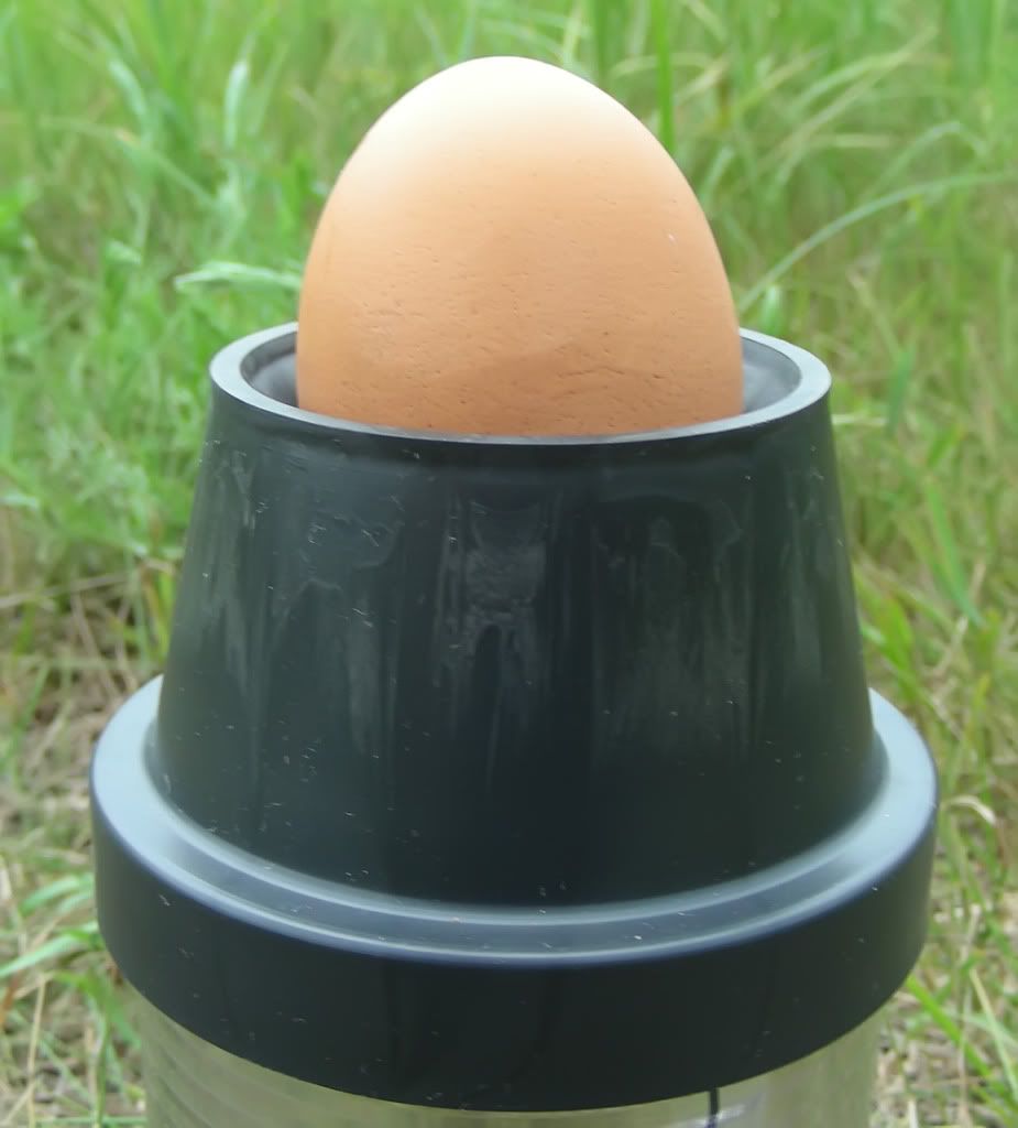 Egg Tester