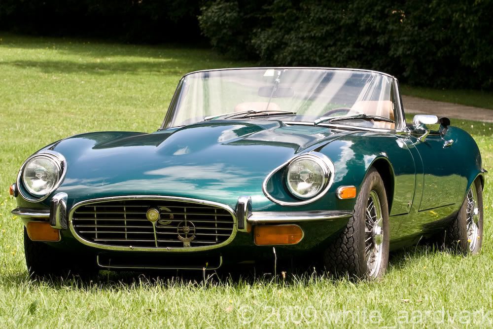 IMAGE: http://i613.photobucket.com/albums/tt220/white_aardvark/_MG_1467.jpg